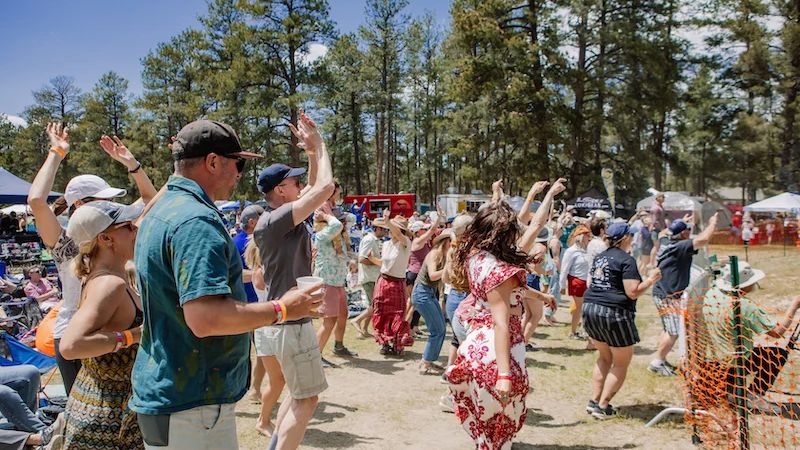 MeadowGrass Music Festival 3