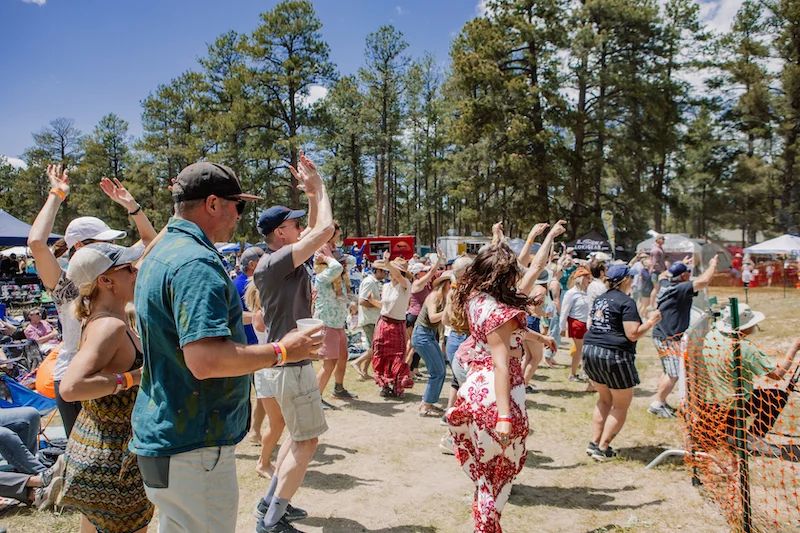MeadowGrass Music Festival 3