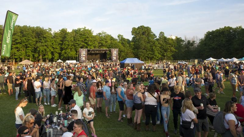 Meadows Music Festival 3