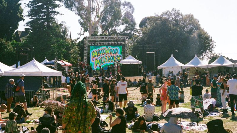 Mosswood Meltdown 2