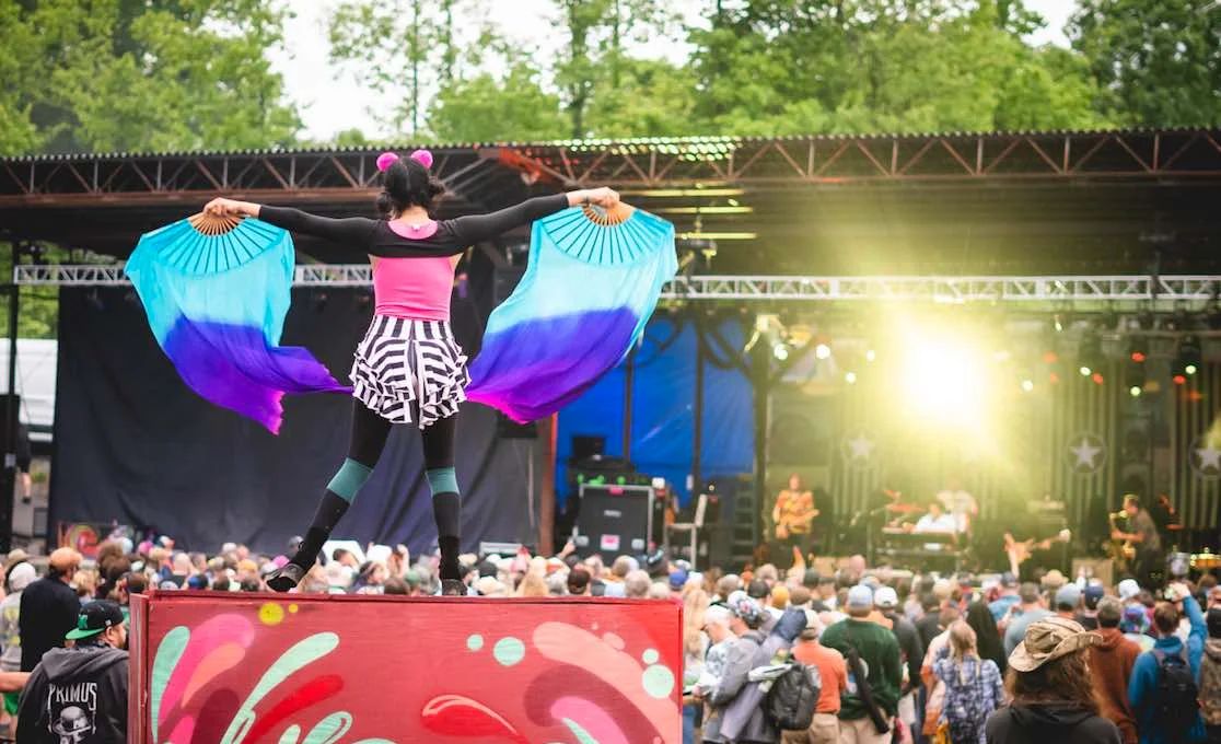 Mountain Music Festival 3