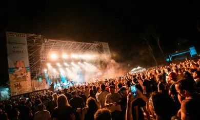 Bay Fest 3