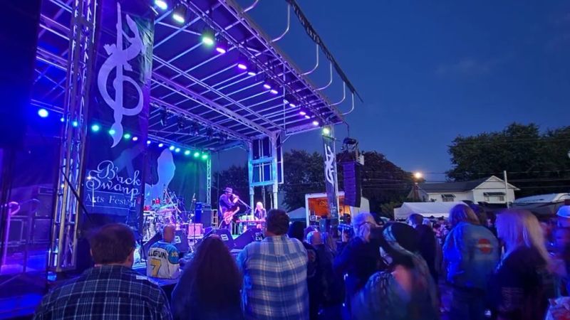Black Swamp Arts Festival 2
