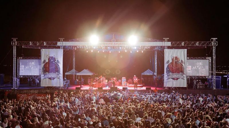 Calf Fry 3