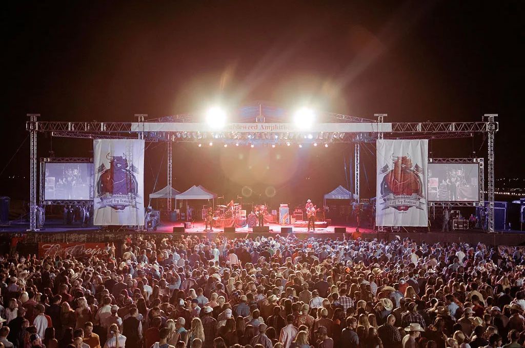 Calf Fry 3
