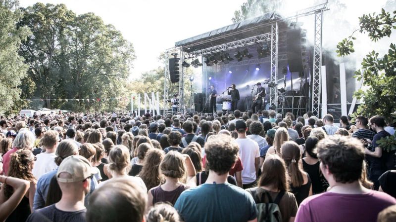 Golden Leaves Festival 3