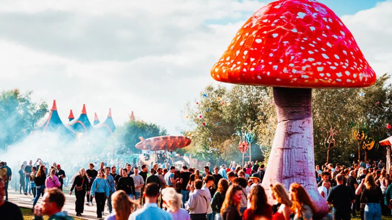 Winter Garden Festival 2