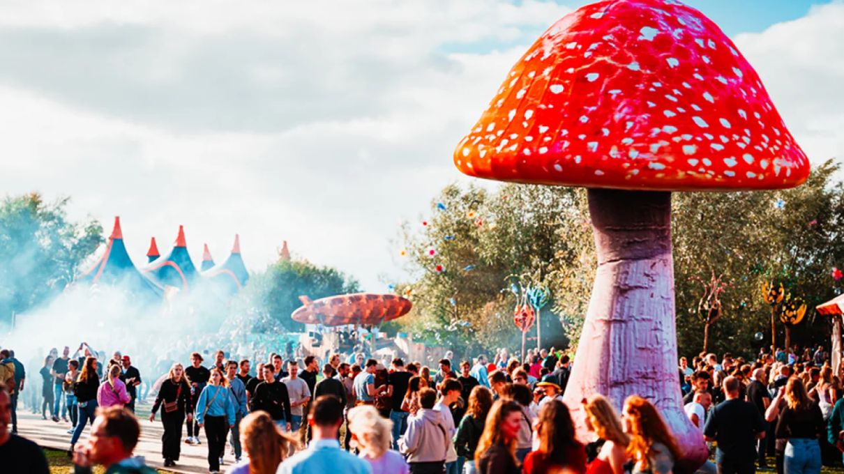 Winter Garden Festival 2