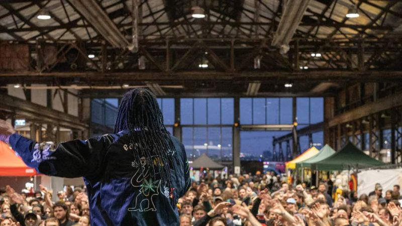 Jamaican Music and Food Festival 2