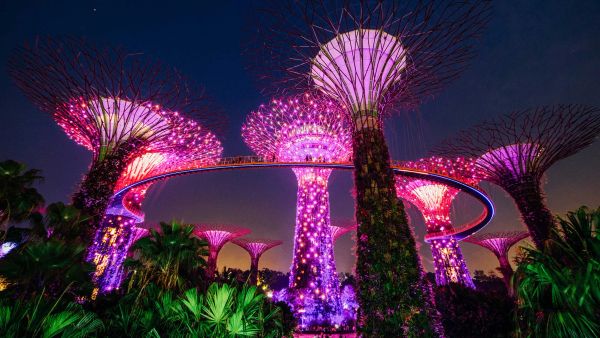 Palm Tree Festival Singapore 2026