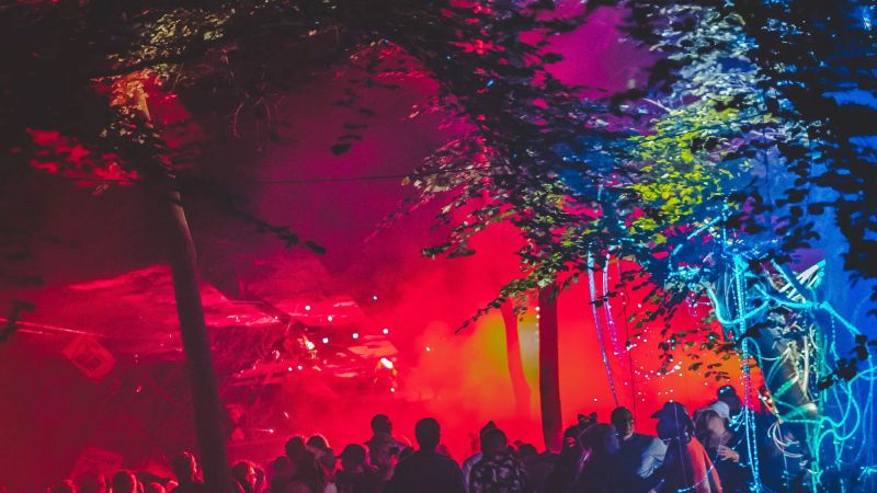 Wild Wood Festival 2