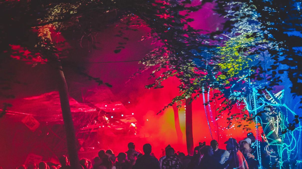 Wild Wood Festival 2