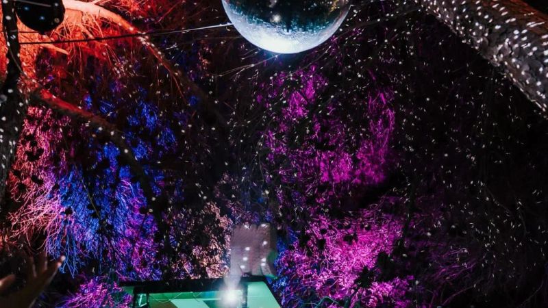 Bloom Festival Malta 3