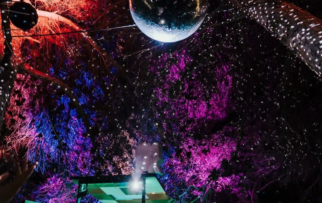 Bloom Festival Malta 3
