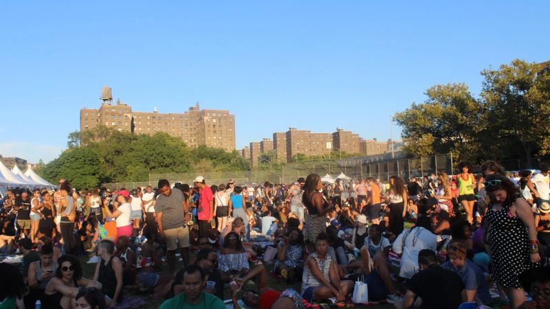 Afropunk Festival 3