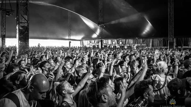 Rock Zottegem 3