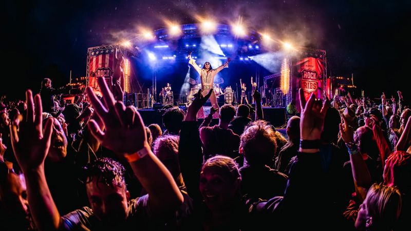 Rock n Ribs Festival 3