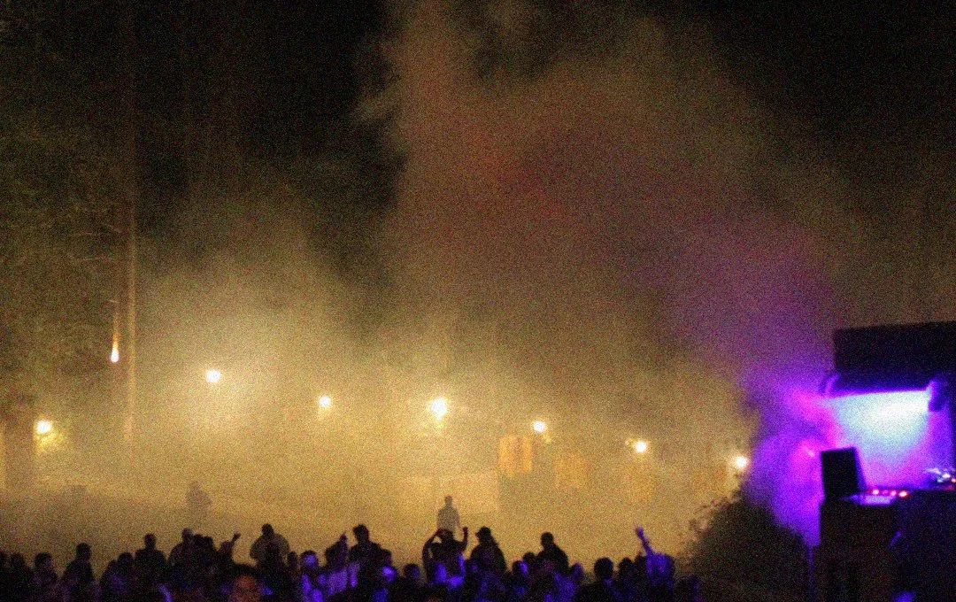 Funk in the Forest 3