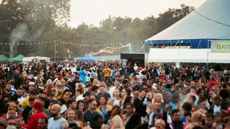 51st State Festival 3