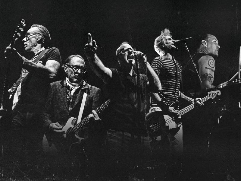 Amplifire Festival 2026