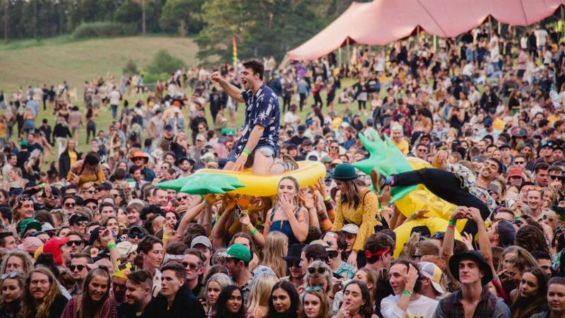 Big Pineapple Festival 3