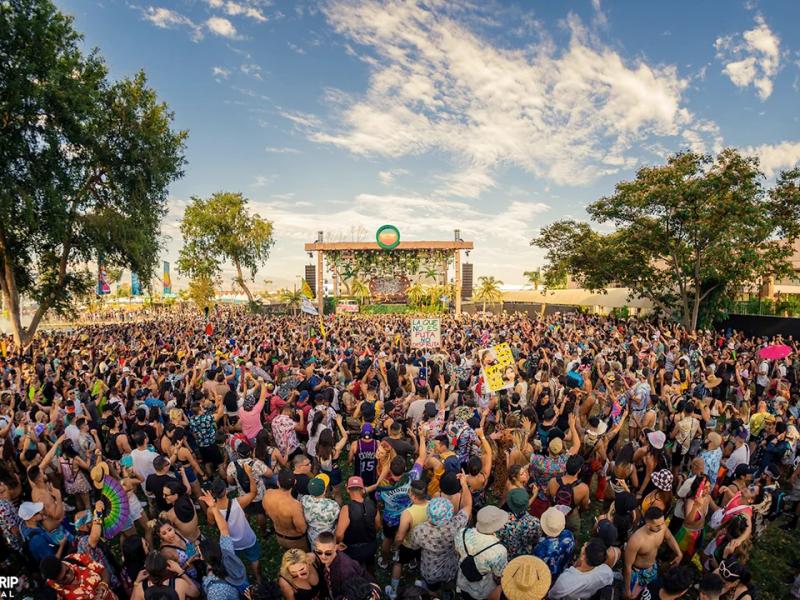 D Festival