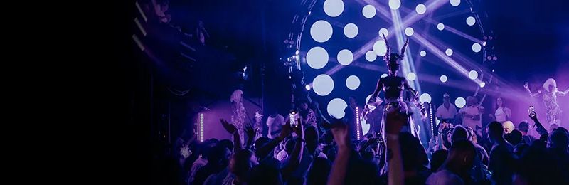 Trip Festival 2