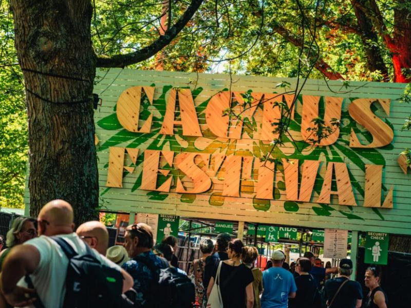 Cactusfestival