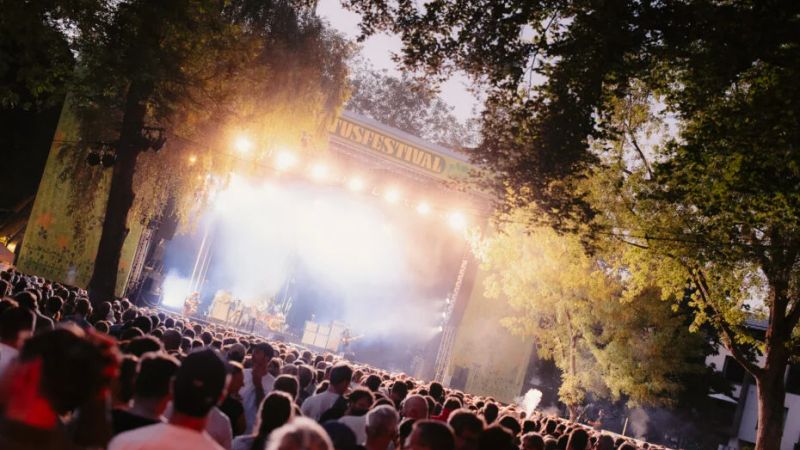 Cactusfestival 2