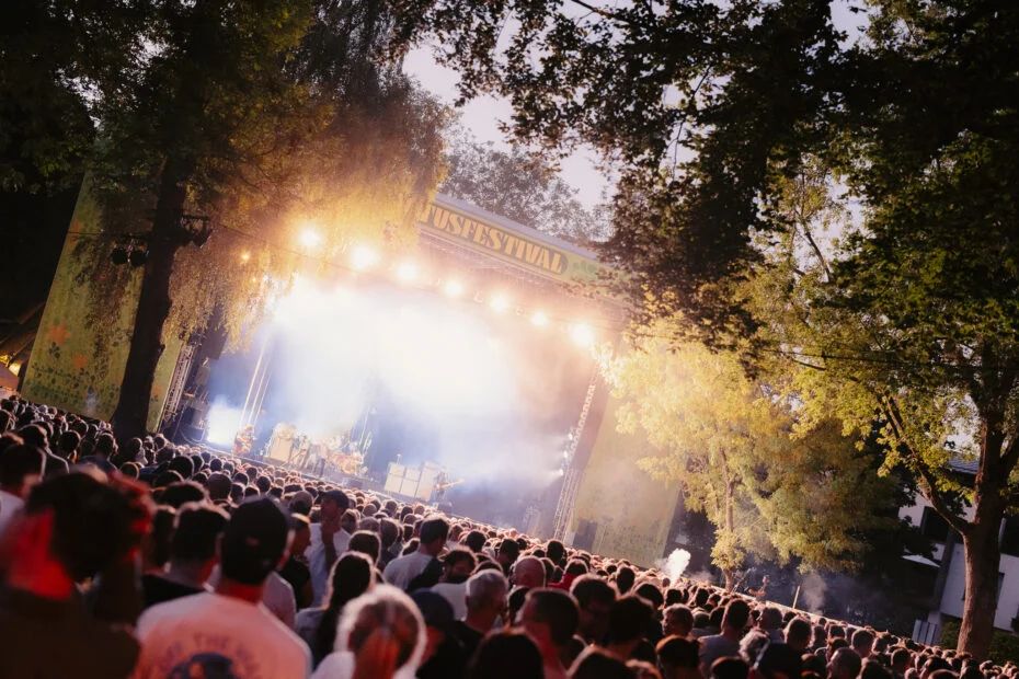 Cactusfestival 2