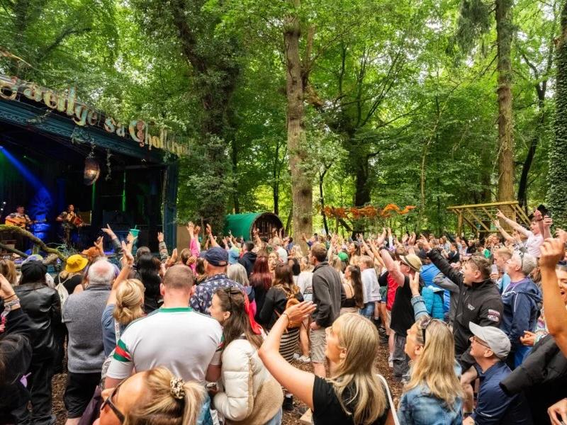 Electric Picnic