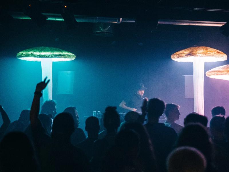 Copenhagen Electronic