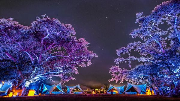 Ondalinda x Montenegro 2026