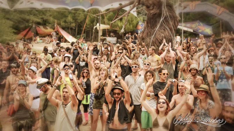 Tree of Life Festival 2