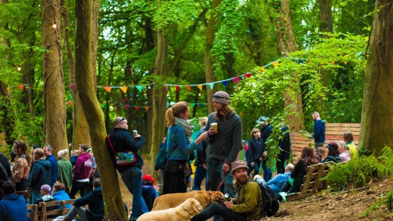 Vantastival 3
