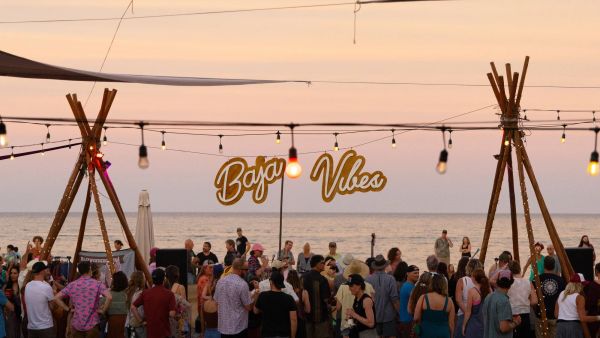 BajaWonderGrass 2026