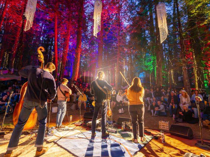 Bear Music Festival