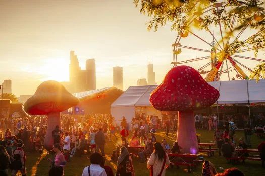 Beyond Wonderland Chicago 2