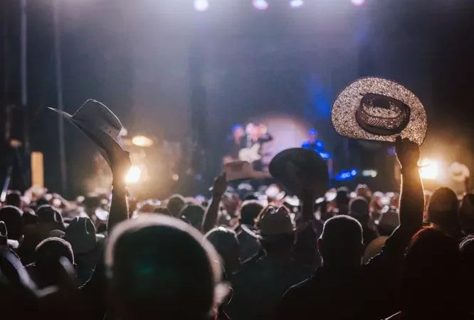 Cattle Country Music Fest 3