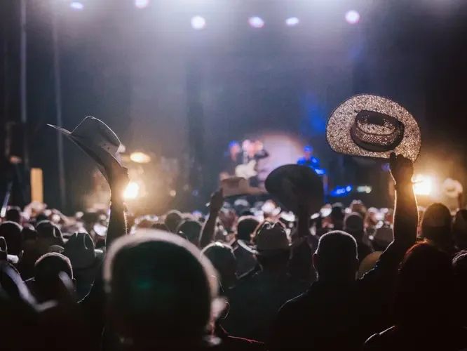Cattle Country Music Fest 3
