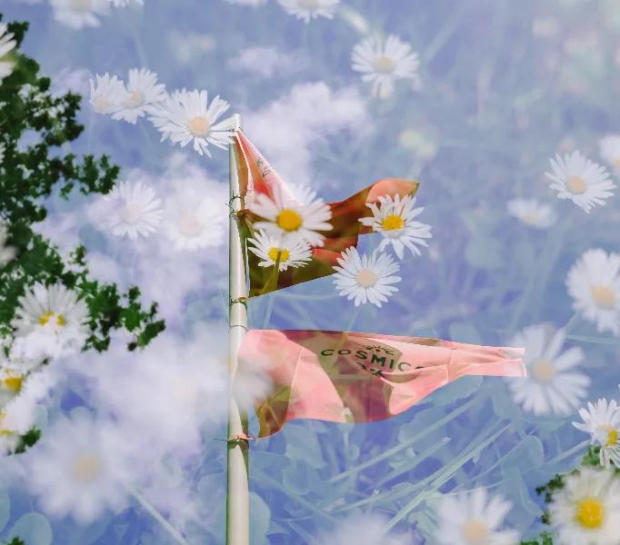 Cosmico - Festival Abroad