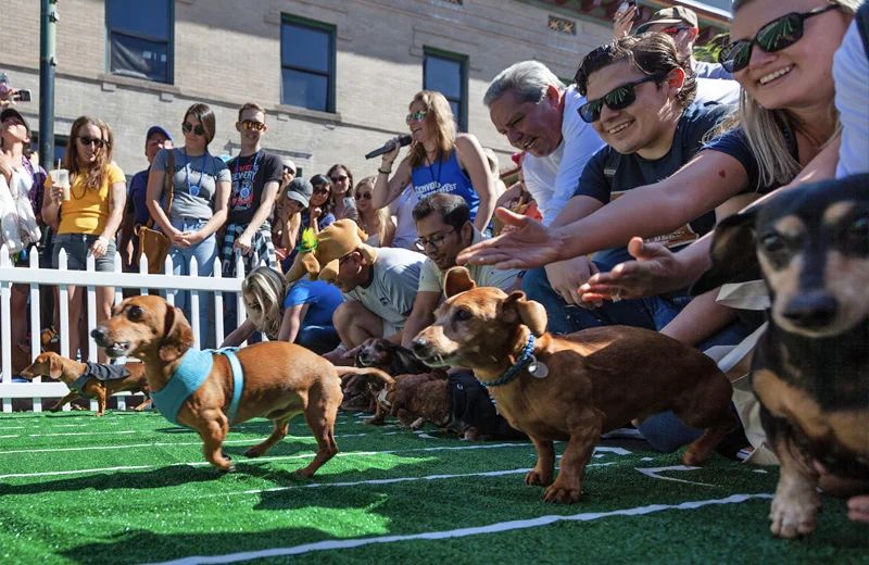 Denver Oktoberfest 2