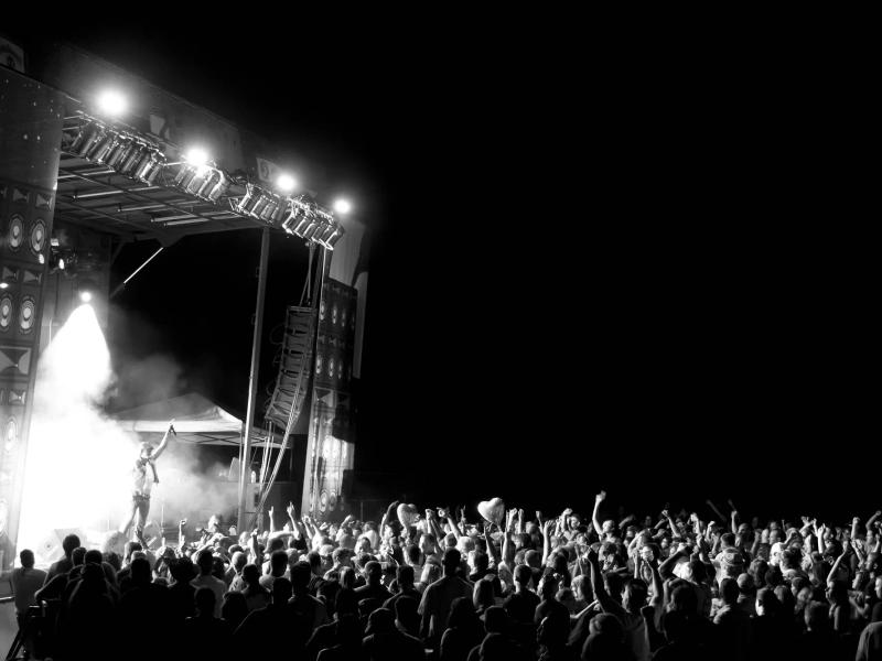 Harefest