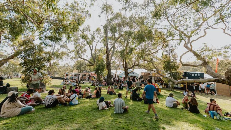 Meredith Music Festival 3