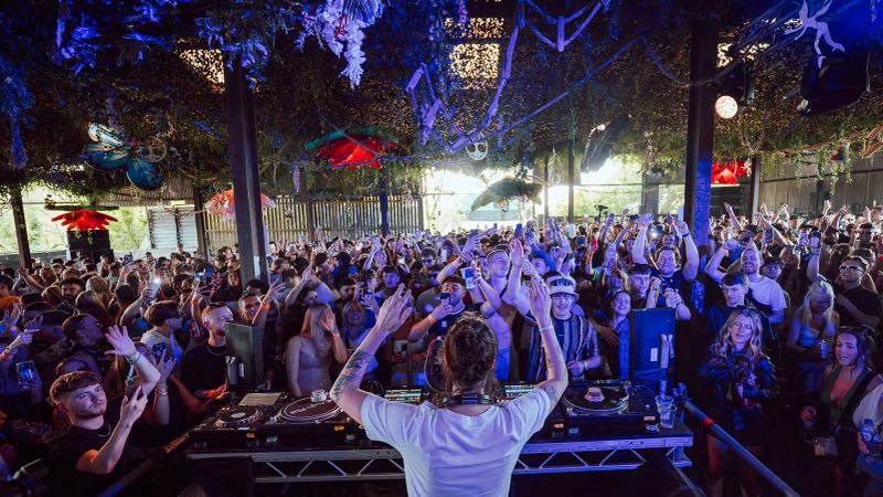 Mint Festival 3
