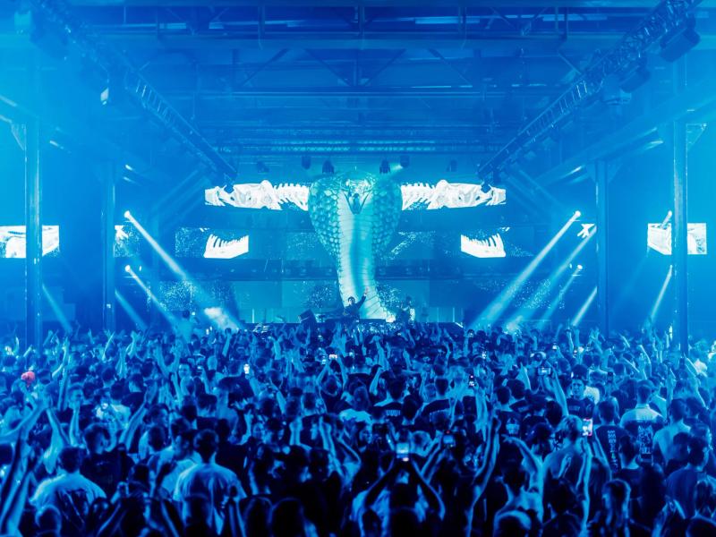 Snakepit