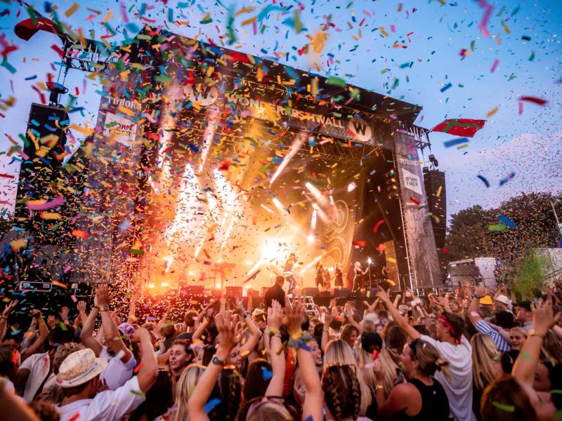 Wonderfestiwall