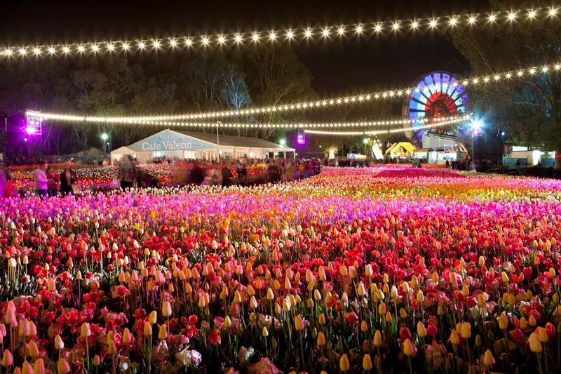 Floriade Night Fest 2026 - Festival Abroad