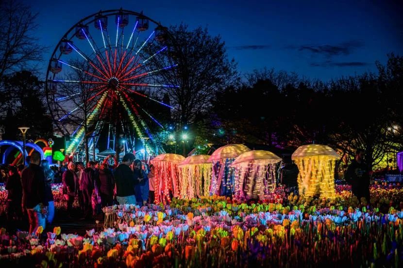 Floriade Night Fest 3