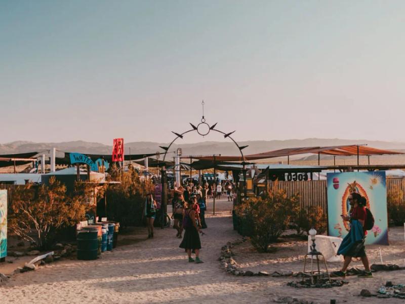 Joshua Tree Festival Fall
